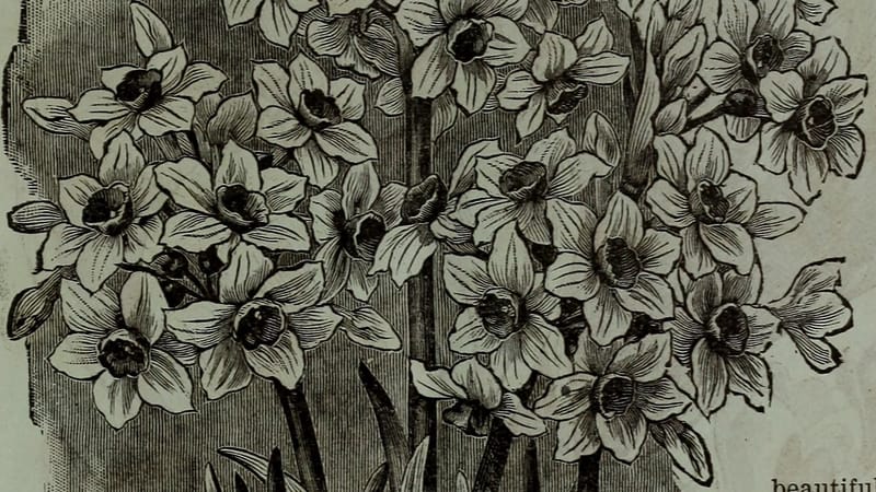 Ill Bloom is a $3.1M lesson in weak randomness, again